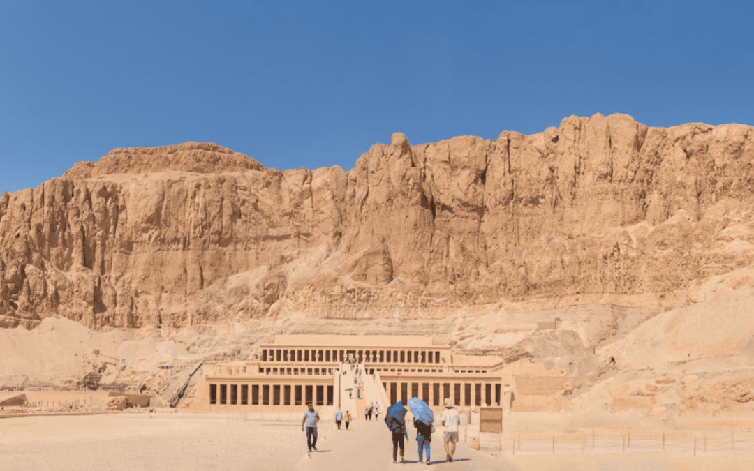 Wide Shot: Everything You Need to Know