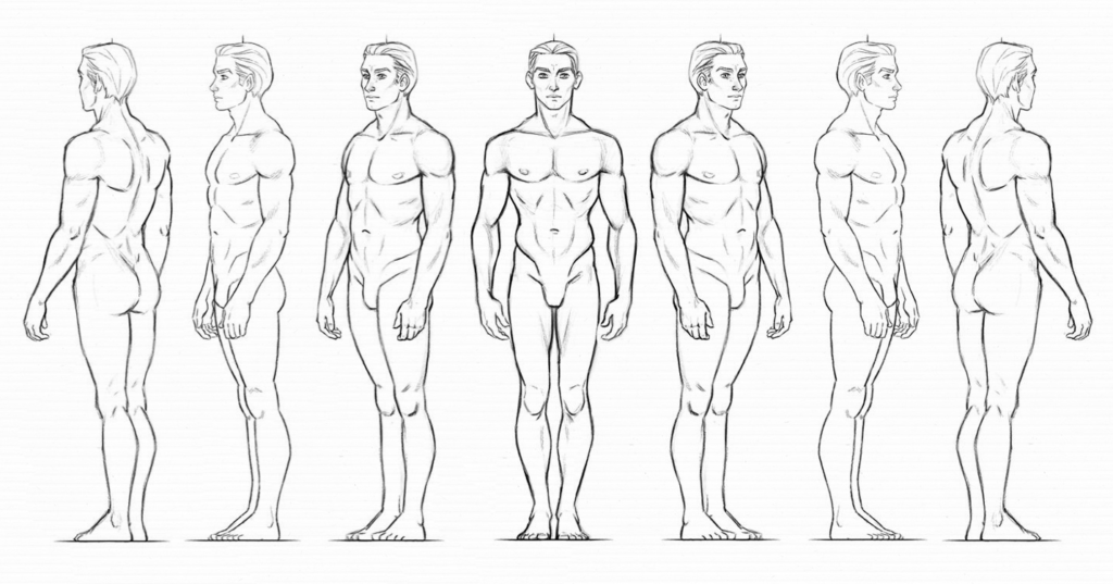 Character Design References - “Generic Female Body Proportions” by