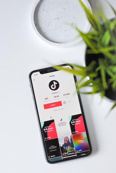 TikTok users can now request for verification in the app