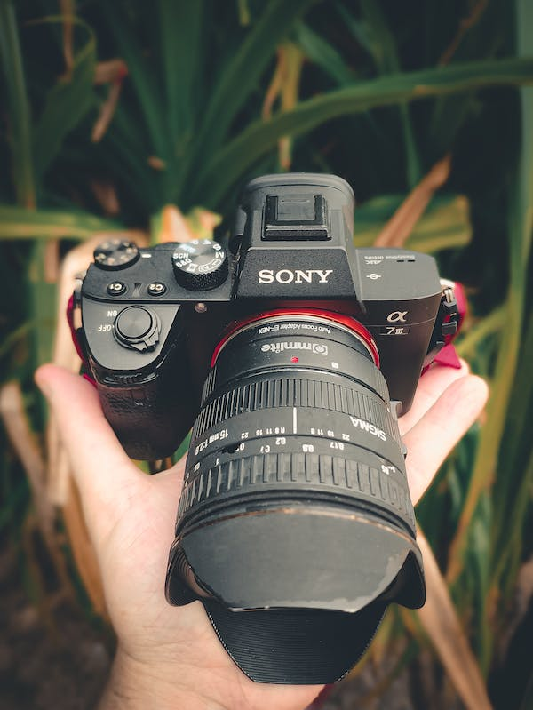 sony a7 iii white balance